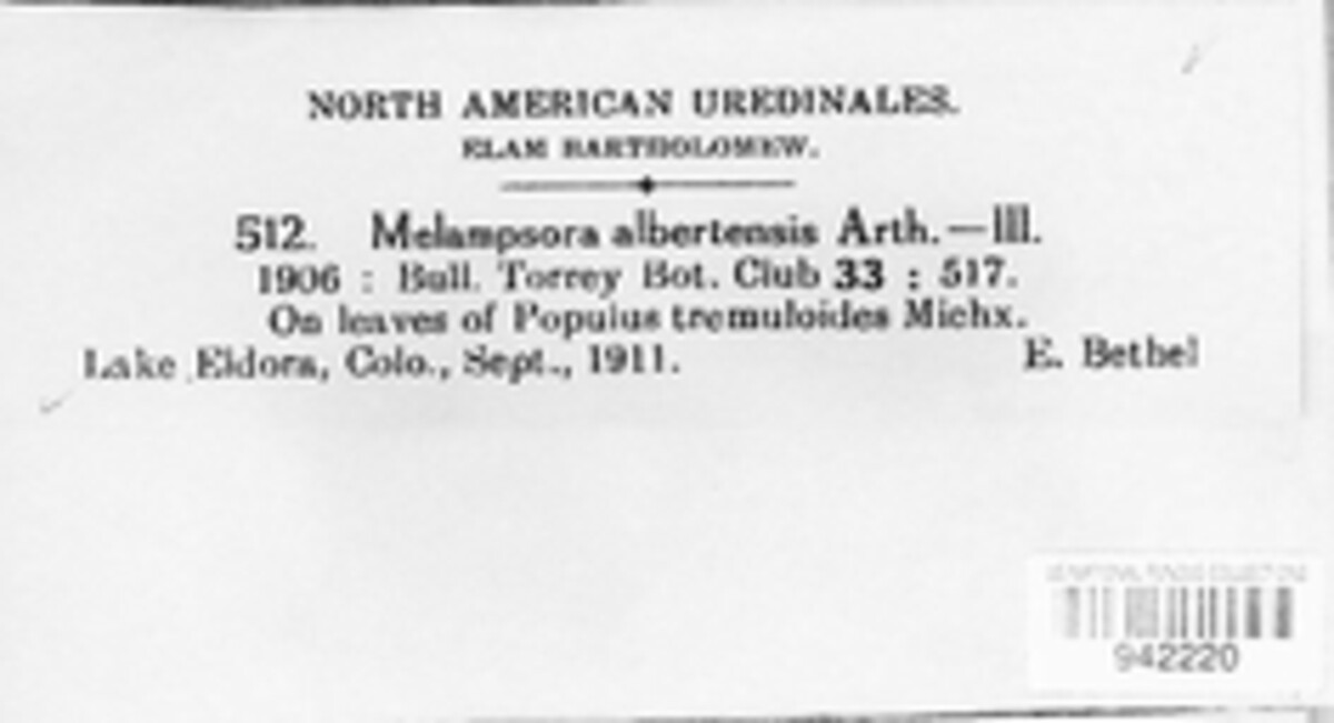 Melampsora medusae image
